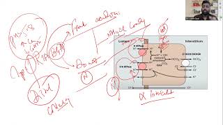 Renal Tubular Acidosis Type 1  Pathophysiology  Diagnosis and Management  Dr Ankit Goel FRCS Urol [upl. by Settle]