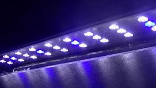 Marineland REEF LED 36quot48quot light review [upl. by Air76]