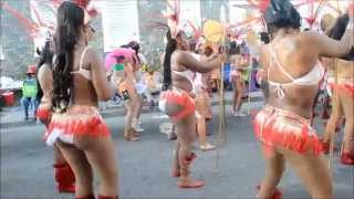 StThomas VI Carnival 2014 [upl. by Rialb]