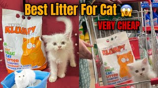 Very Economical Cat Litter  Wooden PalletCat Litter  Best amp Cheap Cat Litter [upl. by Laddie317]