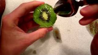 How to properly eat a kiwi fruit [upl. by Leivad]