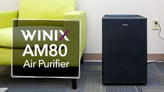 Winix AM80 PlasmaWave True HEPA Air Purifier  Sylvane [upl. by Nilson313]