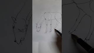 How to draw a grazing Horse easy Lesson9 2 painthorse drawing art horsedrawn sketch animala [upl. by Aidile]