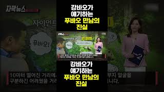 한국농수산TV 강바오가 말하는 푸바오 만남의 진실 푸바오러바오아이바오 [upl. by Yahs430]