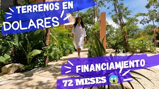 🤑Terrenos en Tulum GARDENS desde 99mil DOLARES Financiamiento a 6 años 2024 [upl. by Didier]