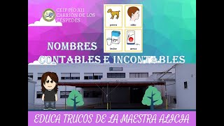 NOMBRES CONTABLES E INCONTABLES [upl. by Peppy]