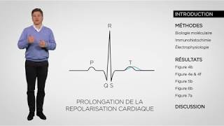 Lecture d’article  comment modéliser une arythmie cardiaque [upl. by Eelarual]