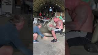 TOM STOLTMAN LIFTS WORLDS HEAVIEST ATLAS STONE 300KG  660LBS Shorts [upl. by Sabella]