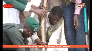 Touba  Le Président Diomaye officiellement la campagne nationale de reboisement [upl. by Jaine94]