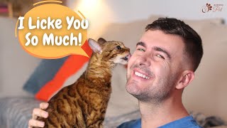 Why Does My Cat Lick Me Surprising Reasons Behind Your Feline’s Behavior [upl. by Adnarrim]