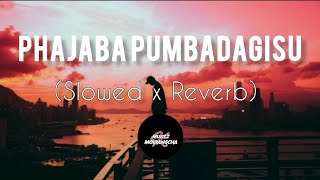 Phajaba Pumbadagisu  Slowed x Reverb Mandakini ll Manipuri song [upl. by Burk908]