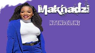 Makhadzi Ntendelenia Type Beat New Song 2023 [upl. by Pittman]