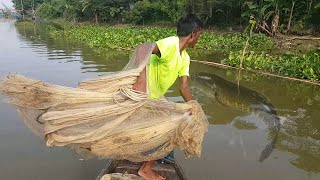 Best Net Fishing  Traditional Cast Net Fishing in Village River  Fishing by cast net [upl. by Annerol525]