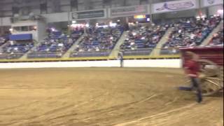 Draft horse competition Denver Stock Show 2014 entering and exiting [upl. by Dranreb]