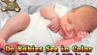 Do Babies See In Color or Black and White Baby Health Guru [upl. by Adlesirhc836]