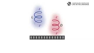 Furkan Öztürk  A new spin on the origin of biological homochirality [upl. by Rodnas887]