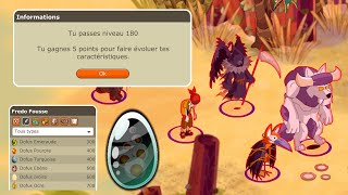 AVENTURE TEMPORIS DOFUS RETRO III 7  TOUT VA SI VITE [upl. by Nerrej341]