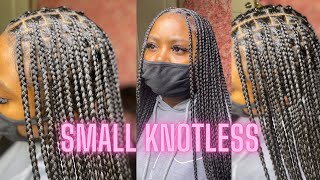 Small knotless box braids tutorial  watch me show you [upl. by Mailand]