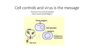 Lysogeny is Bacteriophage Endogenisation [upl. by Elon]