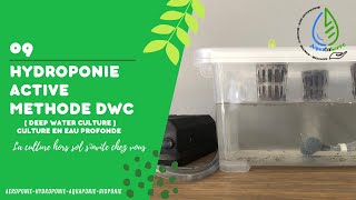 La méthode hydroponique DWC [upl. by Oileduab]