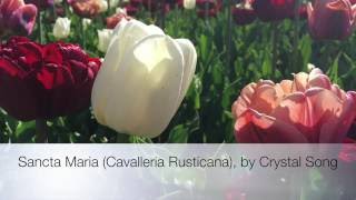 Sancta Maria Cavalleria Rusticana voice only with lyrics [upl. by Sonaj]