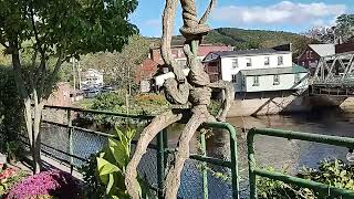 A Walking Tour  Bridge Of Flowers Shelburne Falls Massachusetts [upl. by Amitie]