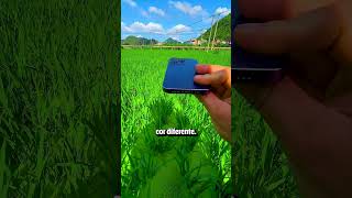 Ele Cria VÍDEOS Incríveis ESTRAGANDO Seus IPhones créditos xz333888  小钲手机摄影 no App Douyin arte [upl. by Jase]