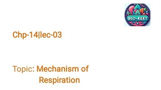 Chp14 Lec3part1 Respiratory Mechanism Respiratory Volumes FBISE12bio2024 [upl. by Roddy]