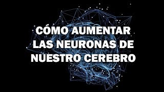 Cómo Aumentar La Producción De Neuronas De Nuestro Cerebro [upl. by Cash757]