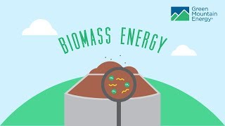 Renewable Energy 101 How Does Biomass Energy Work [upl. by Knobloch]