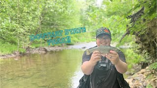 Fishing One of the BEST TROUT STREAMS in Virginia [upl. by Deedahs]