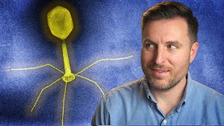 The History of Phage Therapy [upl. by Erasme]