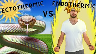 Endothermy vs Ectothermy [upl. by Britney]