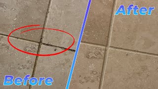 The Best Way to Clean Shower Grout Mould and Mildew [upl. by Blake]