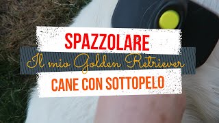 Spazzola per cani come spazzolare un cane con il sottopelo [upl. by Sally]