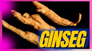 Ginseng o que é para que serve tipos e como usar [upl. by Shawna]