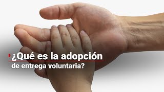 ¿Qué es la adopción de entrega voluntaria [upl. by Cornish180]