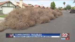 Tumbleweed trouble [upl. by Ibrahim]