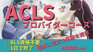 ACLSプロバイダー1日コースの概要 [upl. by Mikaela]