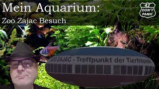 Zoo Zajac Besuch  Mein Aquarium 3 [upl. by Eissert]