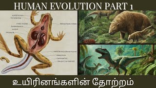 HUMAN EVOLUTION PART 1  உயிரினங்களின் தோற்றம் மற்றும் பரிணாம வளர்ச்சி Tetrapods Dinosaur [upl. by Nosoj]