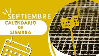 Que SEMBRAR y PLANTAR en SEPTIEMBRE Huerto ➕️ Aromáticas ➕️ Flores Calendario de Siembra [upl. by Nafis441]