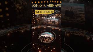 AGT Original Song quotWild Horsesquot by ASHES amp ARROWS agtauditions agt2024 countryrock countrymusic [upl. by Ahtreb]