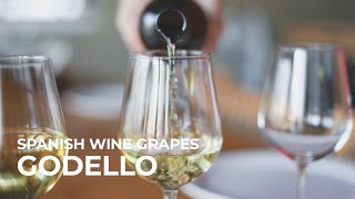 Spanish Wine Grapes Godello [upl. by Ibby42]