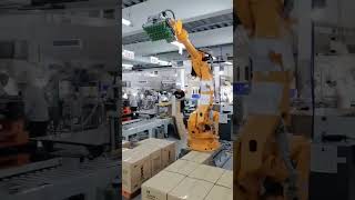 Robotic Case Palletizer Robotic Palletizing Systems Automatic Robot Palletizer [upl. by Dagny40]