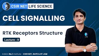 Receptor Tyrosine Kinases Structure And Activation  CSIR NET Life Science [upl. by Treiber]