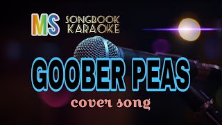 GOOBER PEAS  KARAOKE [upl. by Danieu880]