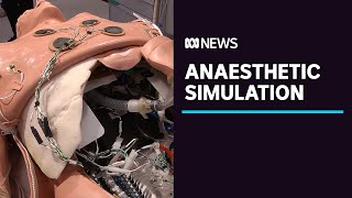 South Australia gets stateoftheart anaesthetic training centre  ABC News [upl. by Kellie700]