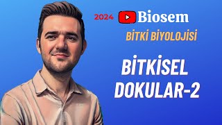 Bitki Biyolojisi  Bitkisel Dokular2 Konu Anlatımı 12 Sınıf Biyoloji [upl. by Luapnaes]