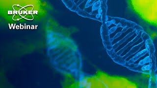 Mechanical Principles of the Cytoskeleton and DNA Rearrangements  BRUKER Webinar [upl. by Rise]